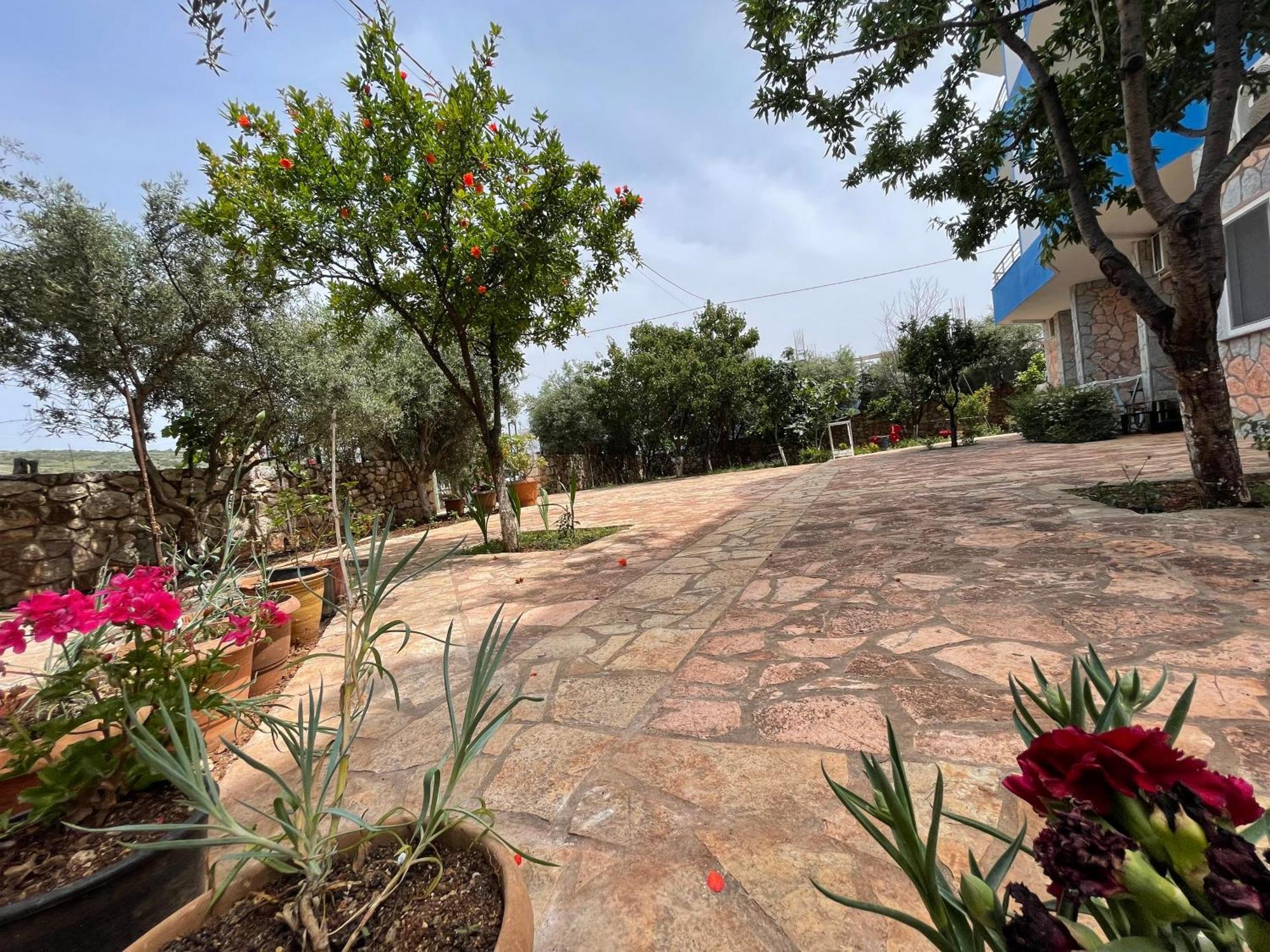 Vila Albi Εξαμίλιο Εξωτερικό φωτογραφία
