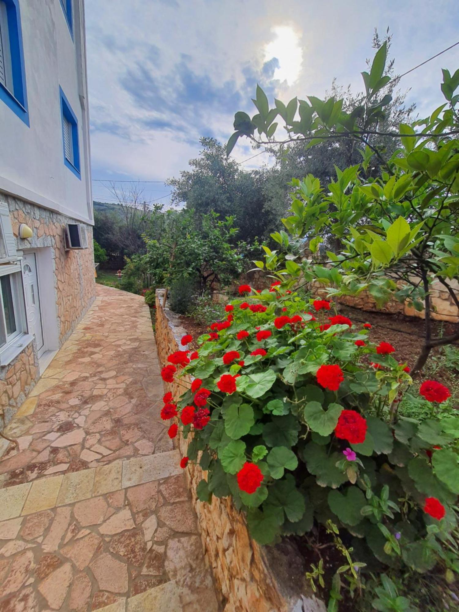 Vila Albi Εξαμίλιο Εξωτερικό φωτογραφία